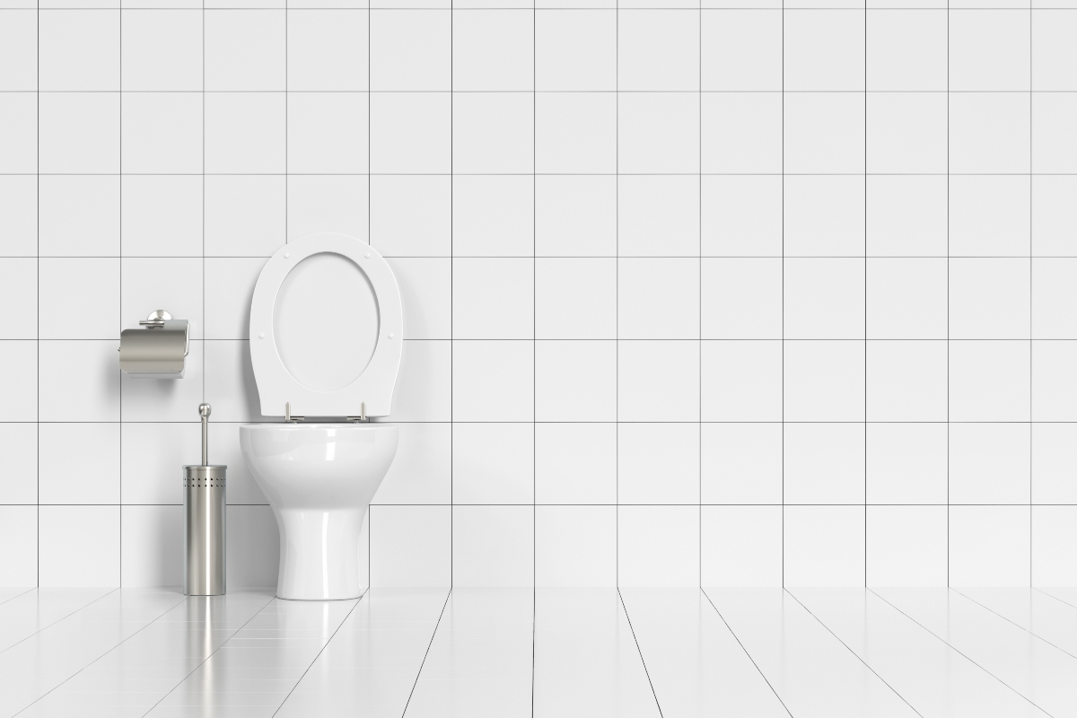 Picture of a Toilet