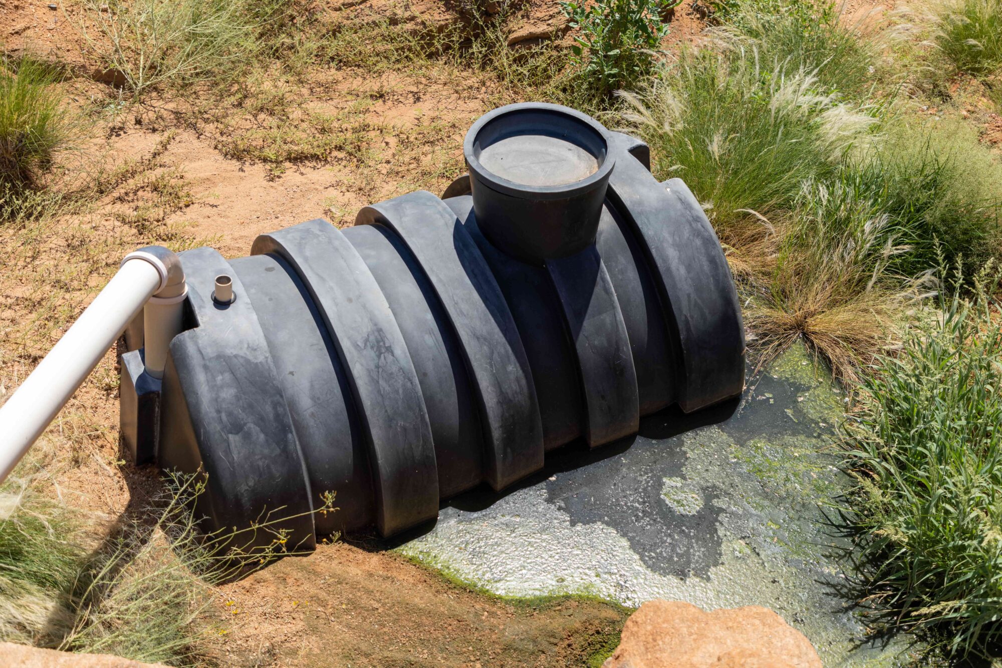 poorly managed septic tank contaminating surrounding area demonstrating the need for habitat protection.